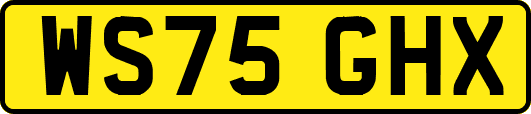 WS75GHX