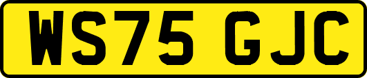 WS75GJC