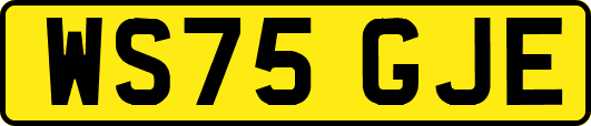 WS75GJE