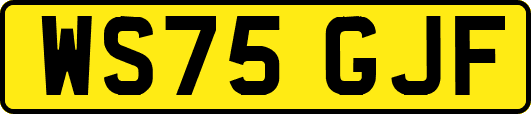 WS75GJF