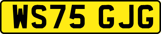 WS75GJG