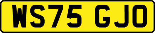 WS75GJO