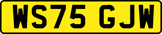 WS75GJW