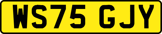 WS75GJY