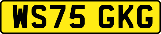WS75GKG