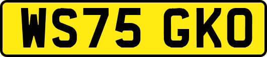 WS75GKO