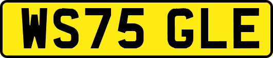 WS75GLE