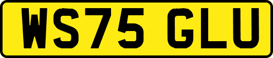 WS75GLU