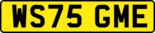 WS75GME