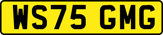 WS75GMG