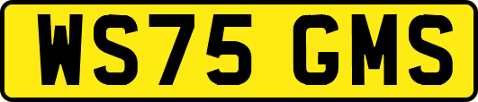 WS75GMS
