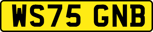WS75GNB