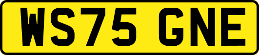 WS75GNE