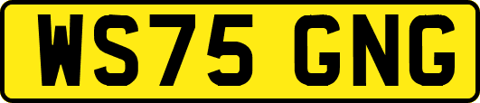 WS75GNG