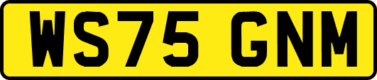 WS75GNM