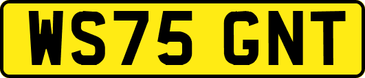WS75GNT