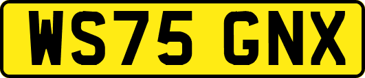 WS75GNX