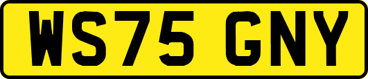 WS75GNY
