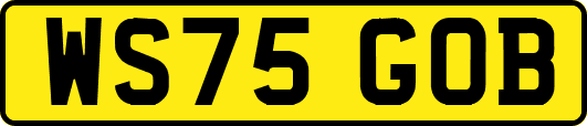 WS75GOB