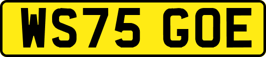 WS75GOE