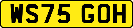 WS75GOH