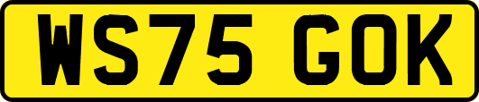 WS75GOK