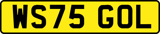 WS75GOL