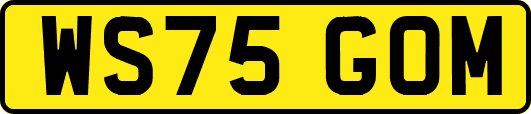 WS75GOM