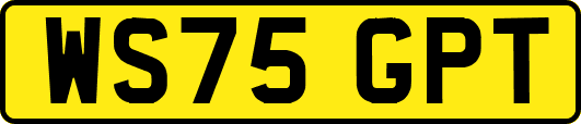WS75GPT