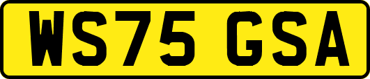 WS75GSA
