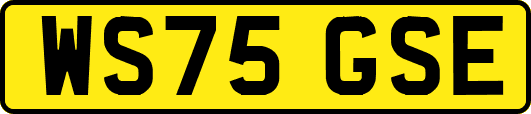 WS75GSE