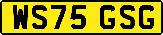 WS75GSG