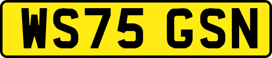 WS75GSN