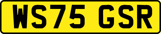 WS75GSR