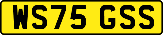 WS75GSS
