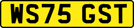 WS75GST