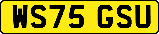 WS75GSU