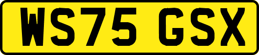 WS75GSX