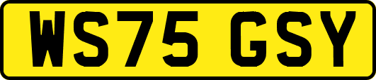WS75GSY