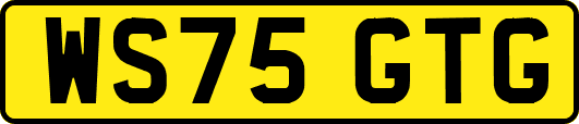 WS75GTG