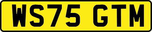 WS75GTM