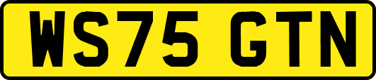 WS75GTN