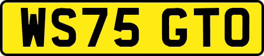 WS75GTO