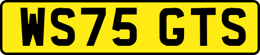 WS75GTS