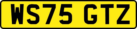 WS75GTZ