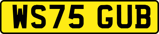 WS75GUB