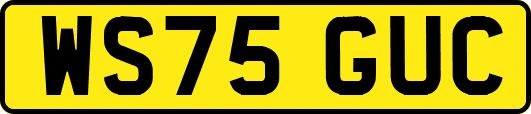WS75GUC