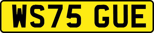 WS75GUE