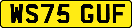 WS75GUF