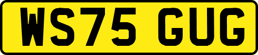 WS75GUG